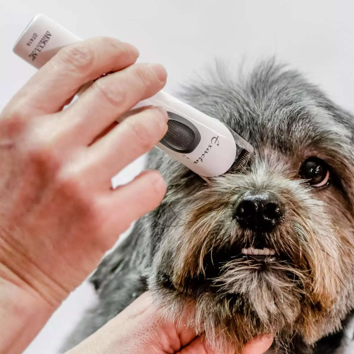 Aesculap Schermaschinen Exacta GT416 Schermaschine für Tiere