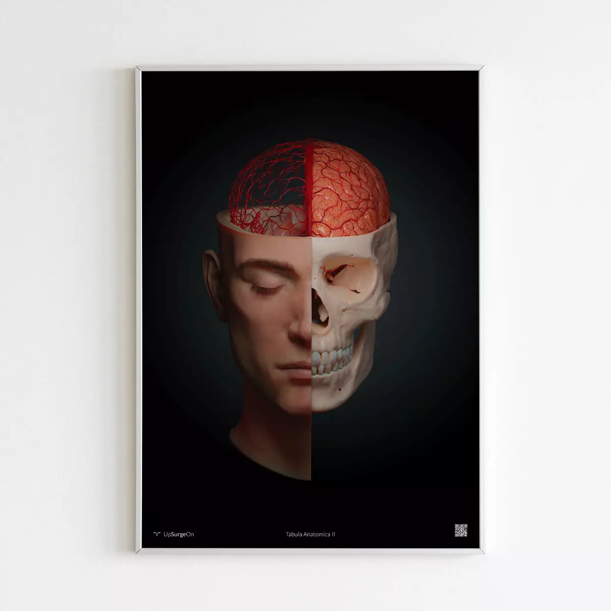 UpSurgeOn AnatomyARt Tabula Anatomica II
