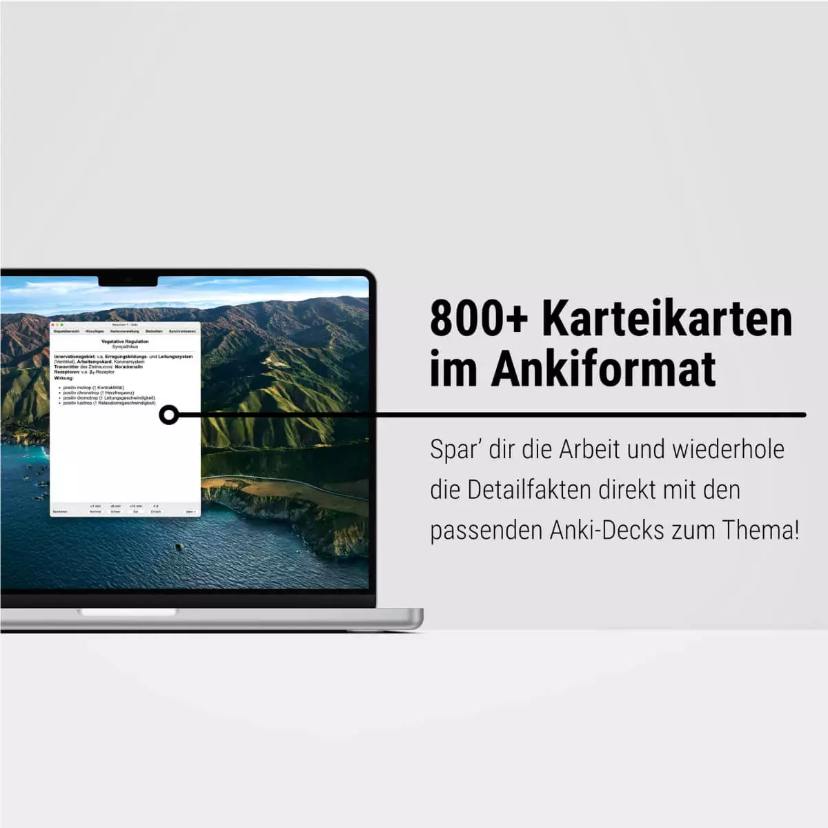 CORETEXT. Physiologie Lernskript CORETEXT. Physiologie Lernskript