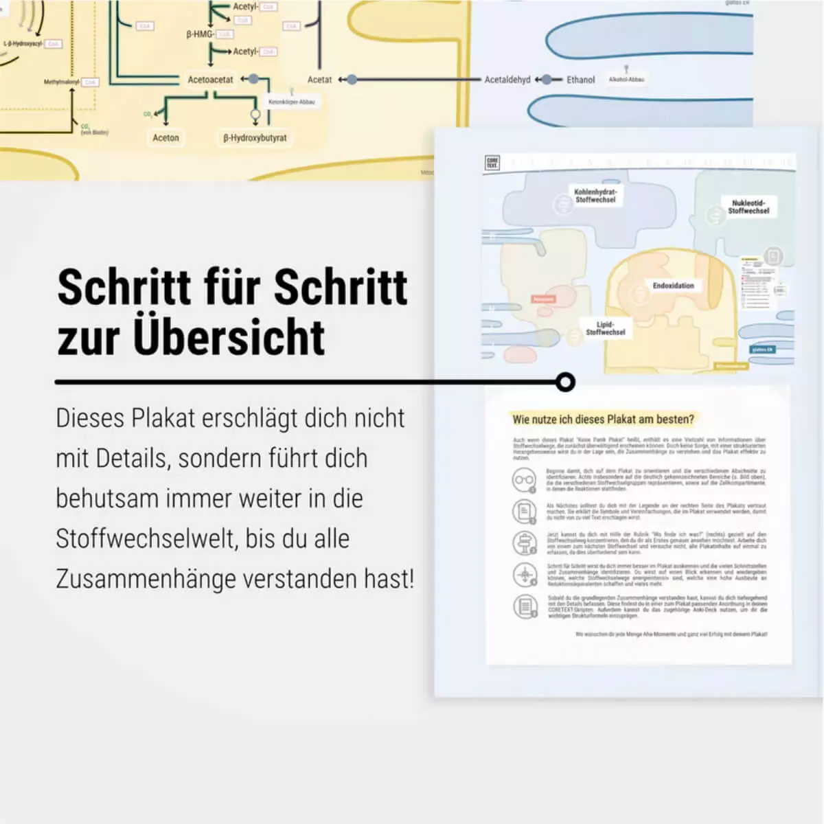 CORETEXT. Das Keine-Panik-Plakat