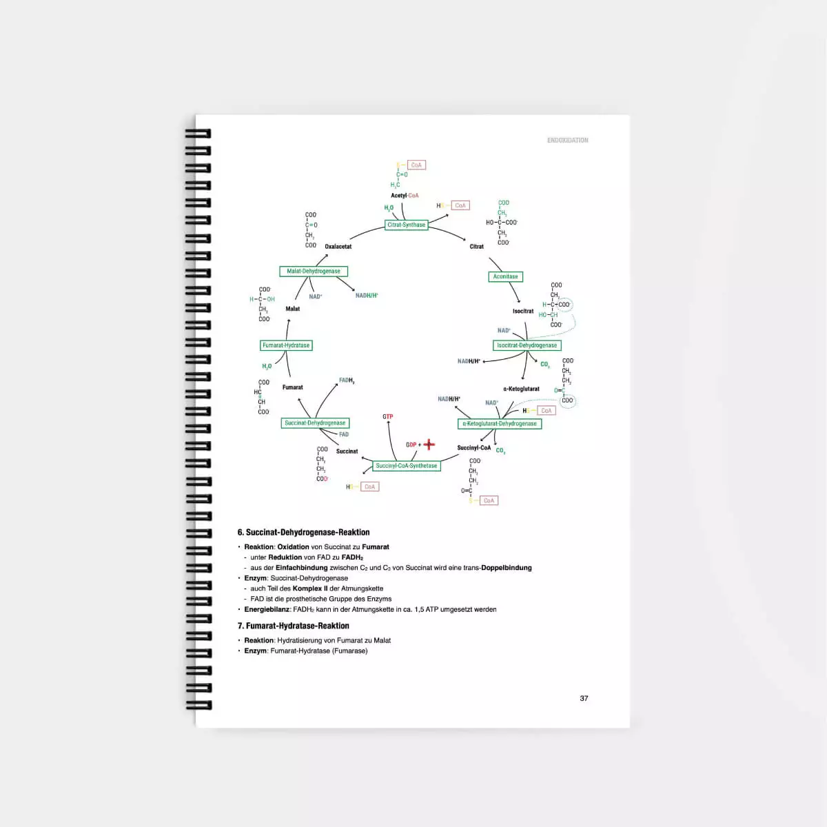 CORETEXT. Biochemie Lernskript