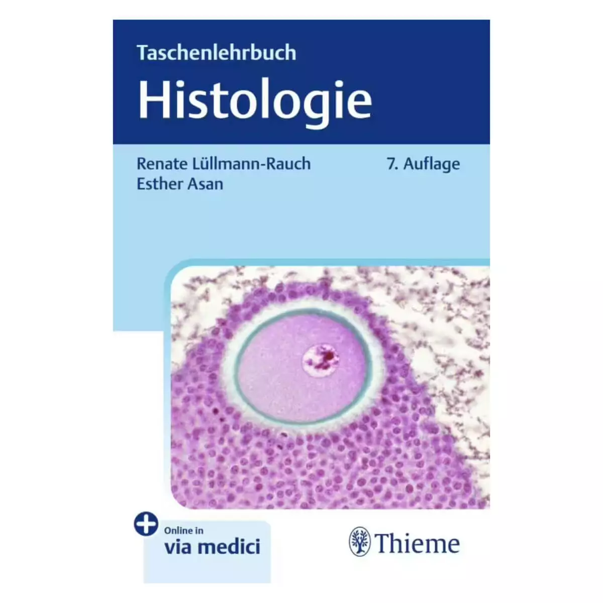 Thieme Taschenlehrbuch Histologie