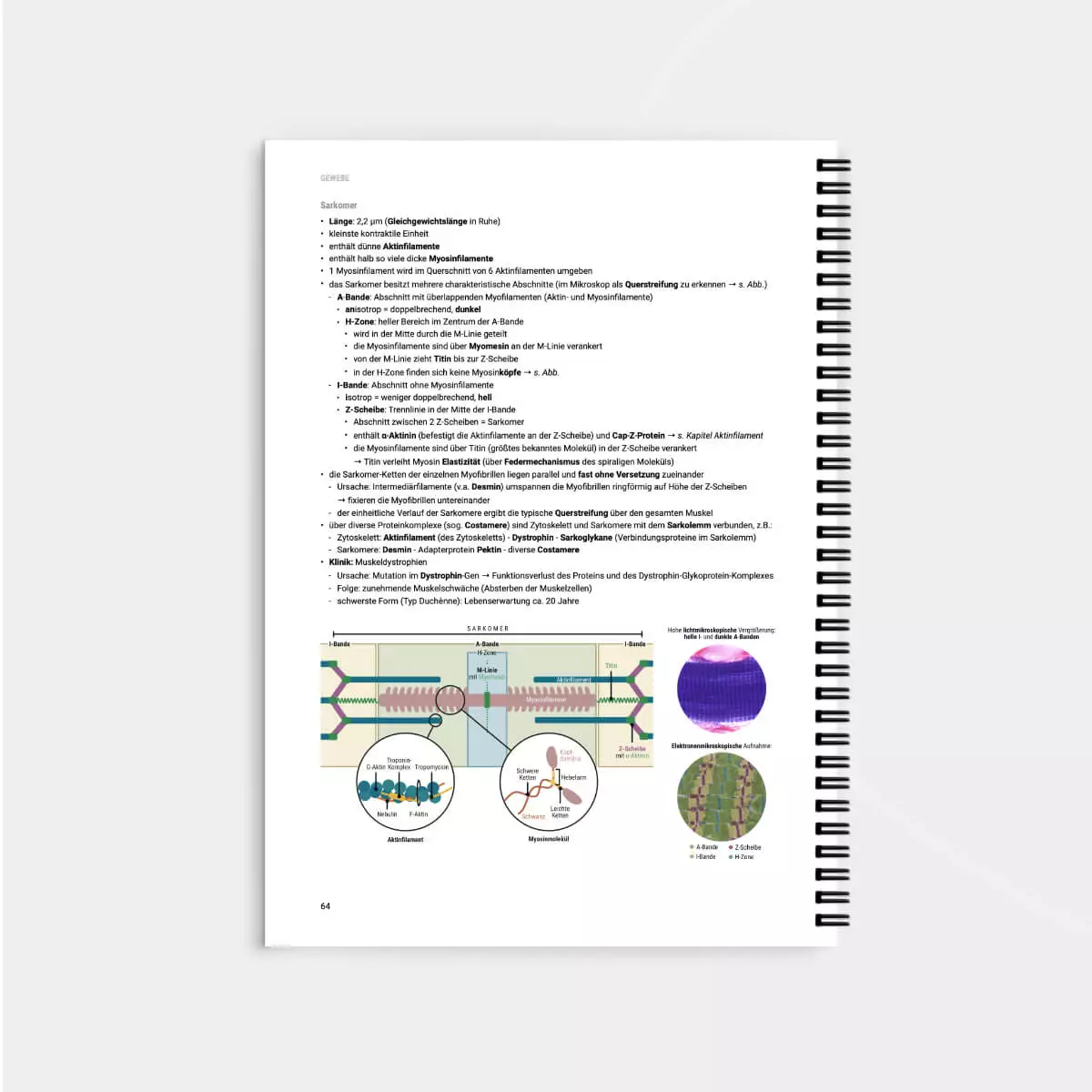 CORETEXT. Histologie Lernskript