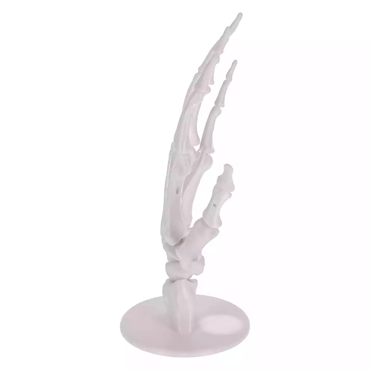 DocCheck Thïngs Anatomisches 3D-Puzzle der Hand "Manus"