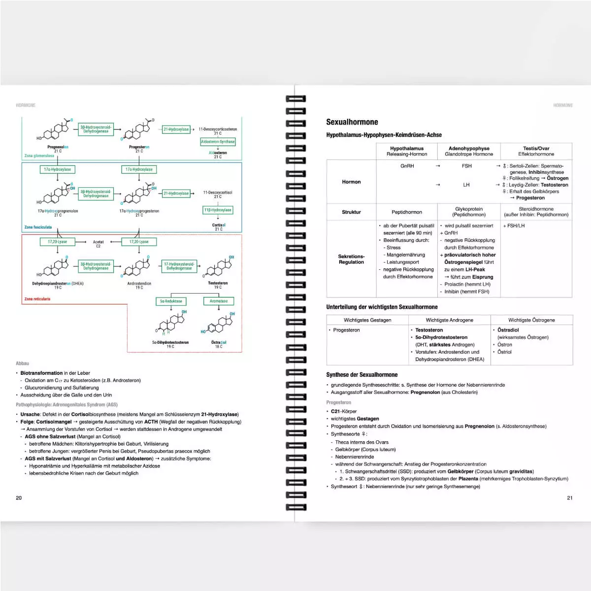 CORETEXT. Biochemie Lernskript CORETEXT. Biochemie Lernskript
