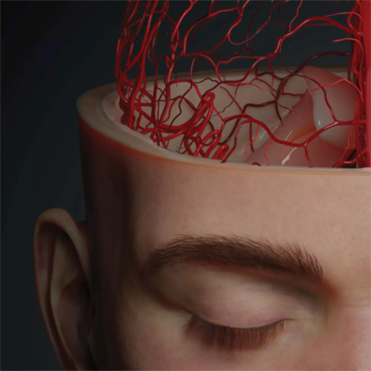 UpSurgeOn AnatomyARt Tabula Anatomica II