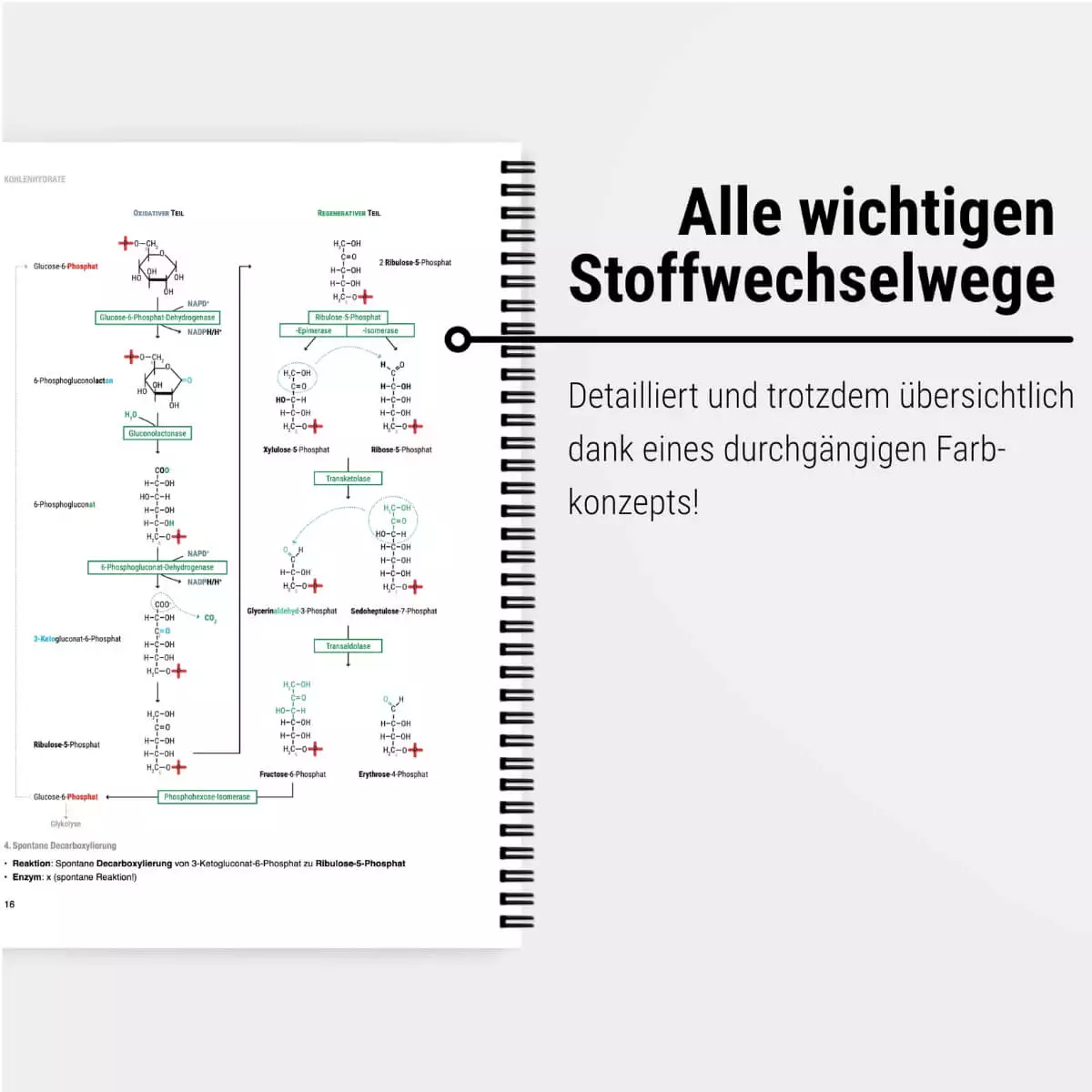 CORETEXT. Biochemie Lernskript