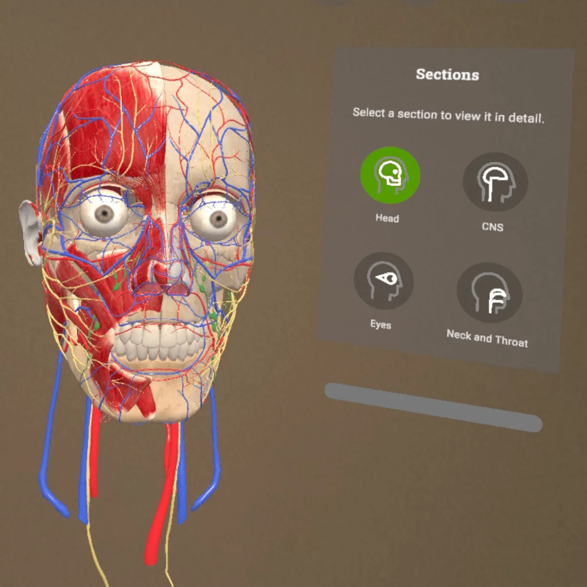DocCheck Thïngs Mixed-Reality Anatomie-App "Corpus" für Meta Quest 3/3S DocCheck Thïngs Mixed-Reality Anatomie-App "Corpus" für Meta Quest 3/3S