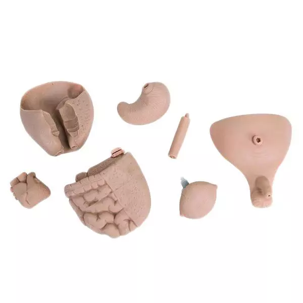 3B Scientific Krankenpflegebaby