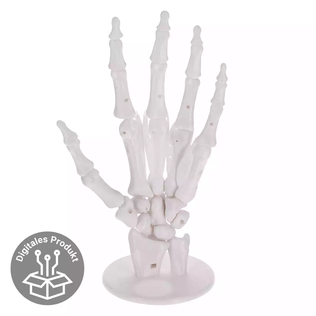 DocCheck Thïngs Anatomisches 3D-Puzzle der Hand "Manus"
