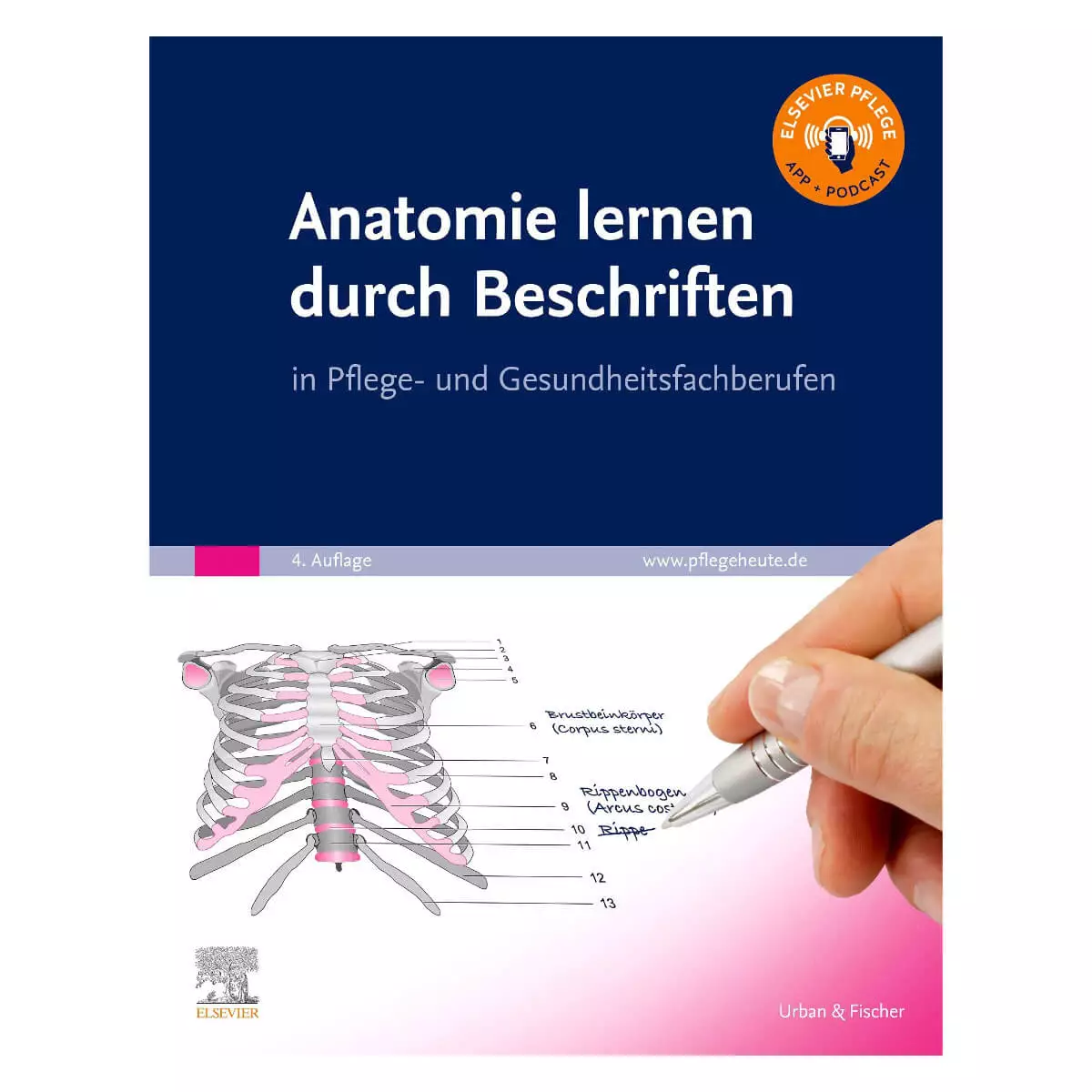 Elsevier Anatomie lernen durch Beschriften