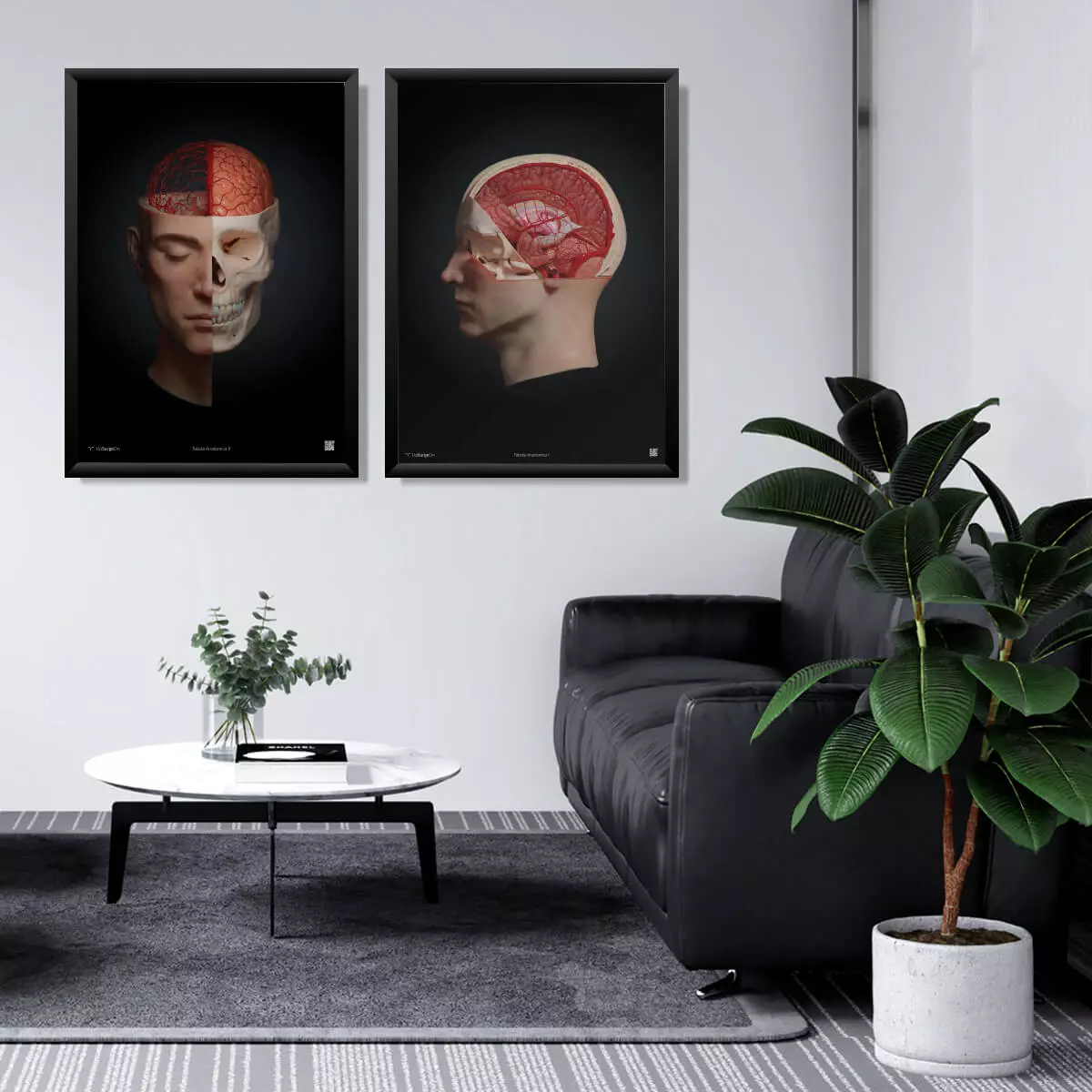 UpSurgeOn AnatomyARt Collection