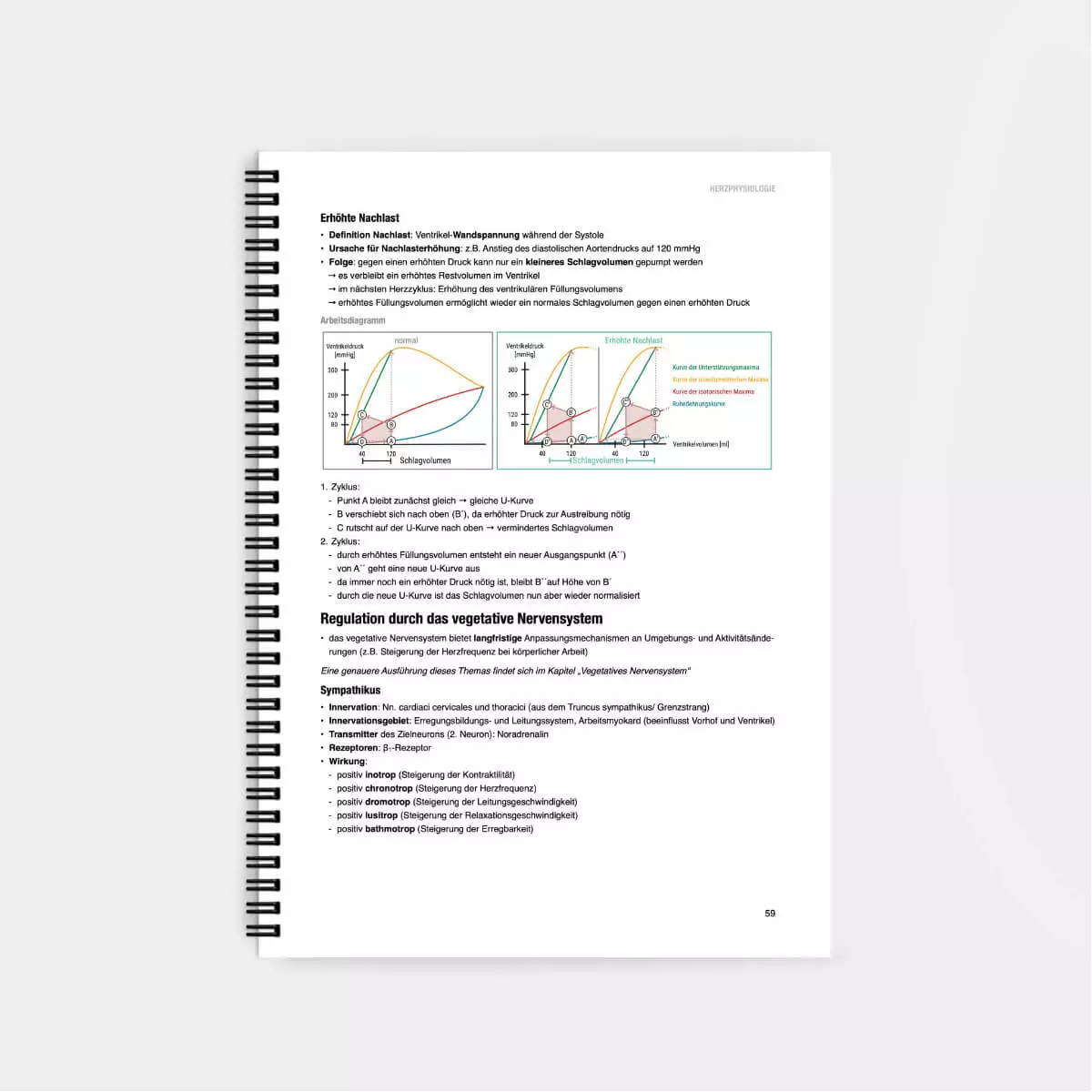CORETEXT. Physiologie Lernskript