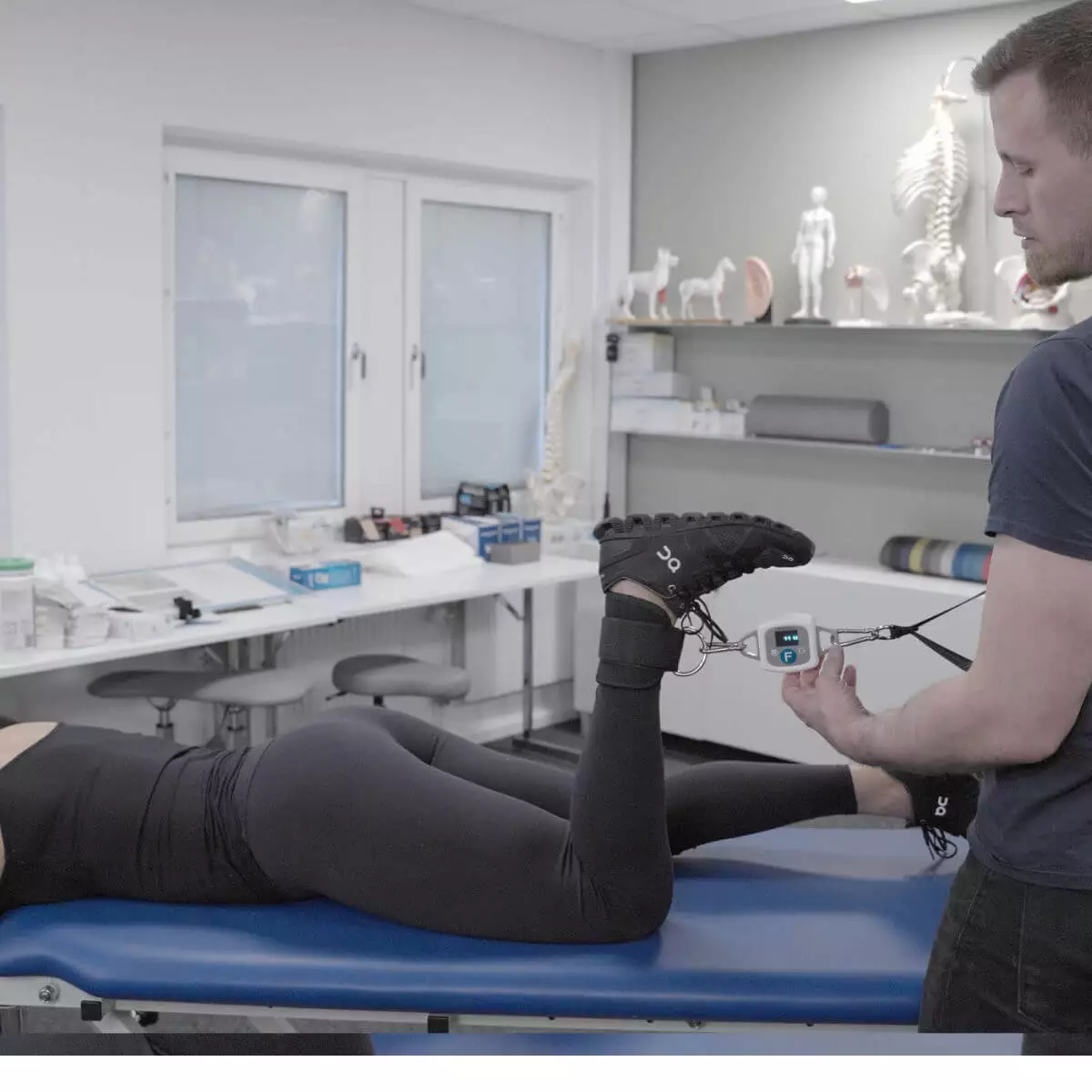 Meloq EasyForce – Digitales Dynamometer