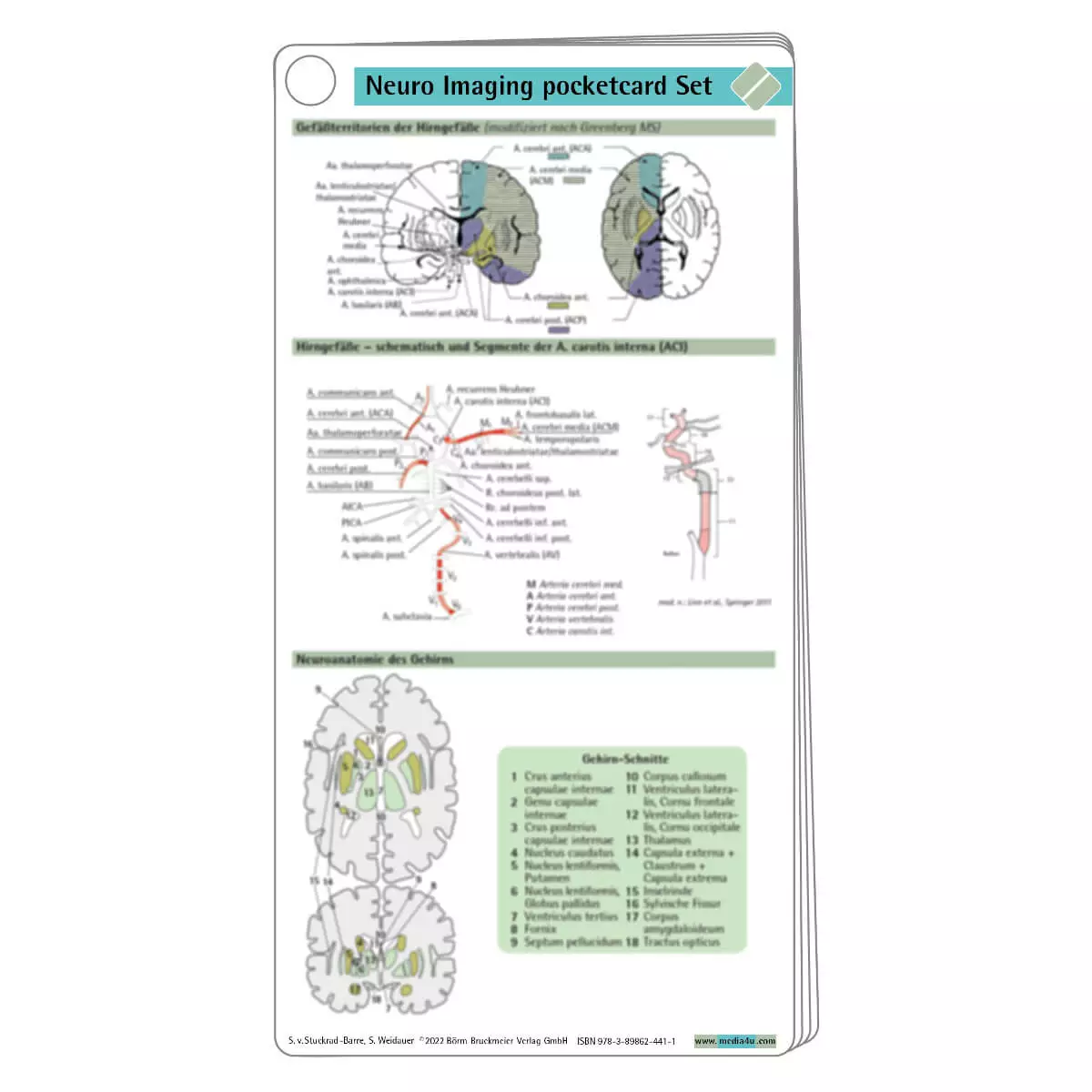 Börm Bruckmeier Neuro Imaging pocketcard Set