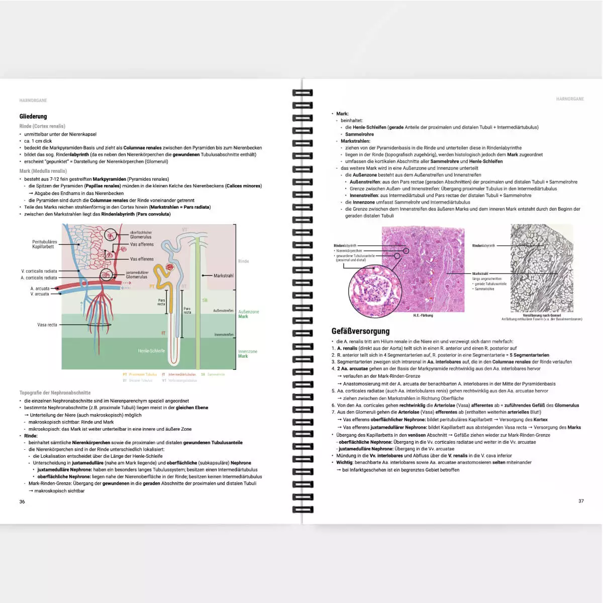 CORETEXT. Histologie Lernskript CORETEXT. Histologie Lernskript
