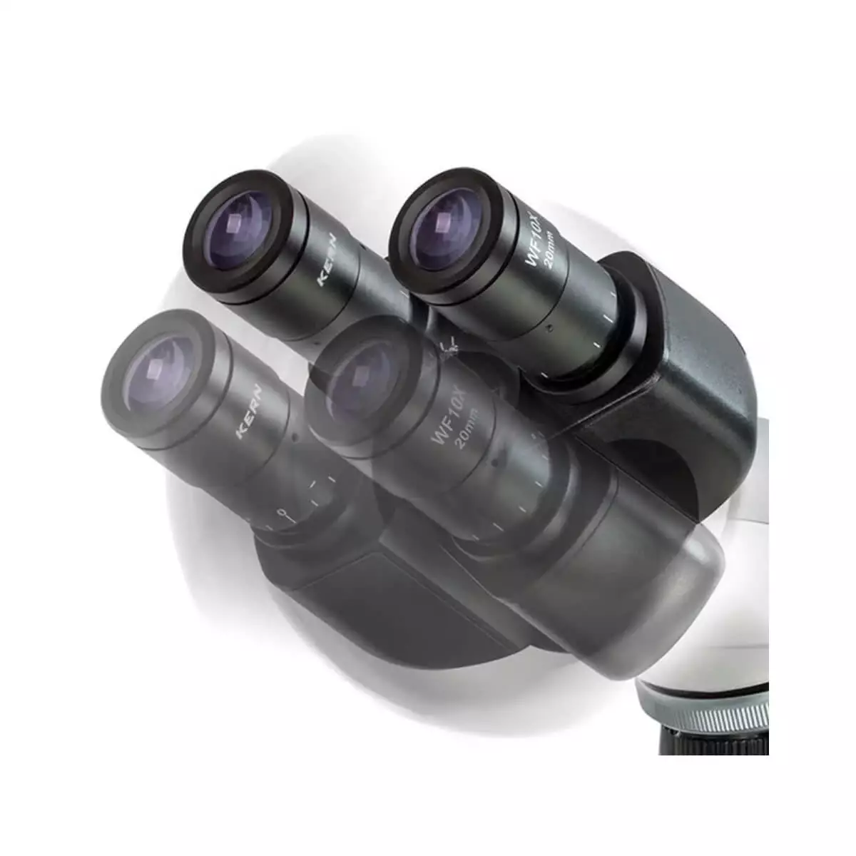 KERN OBL 156 Phasenkontrastmikroskop Trinokular
