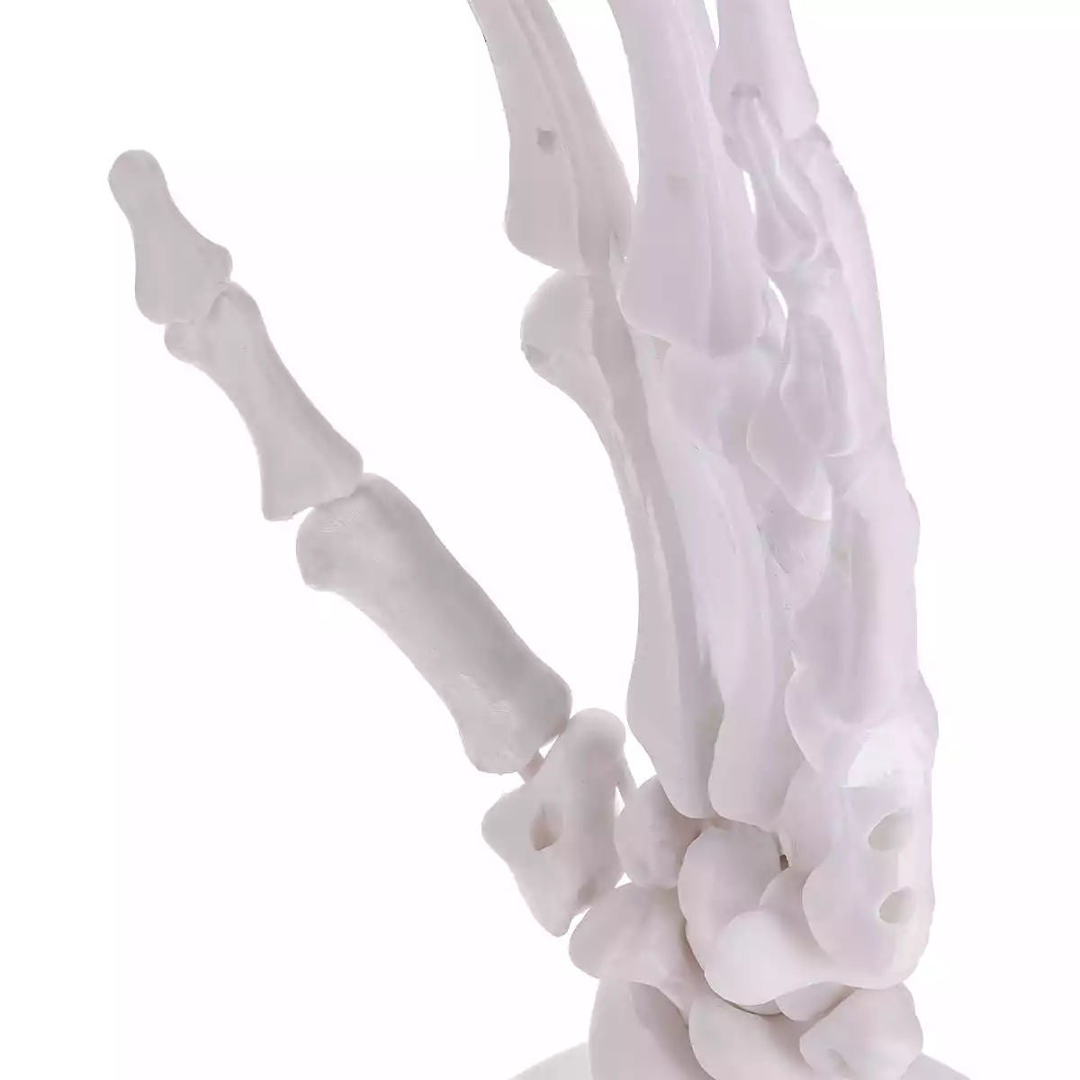 DocCheck Thïngs Anatomisches 3D-Puzzle der Hand "Manus"