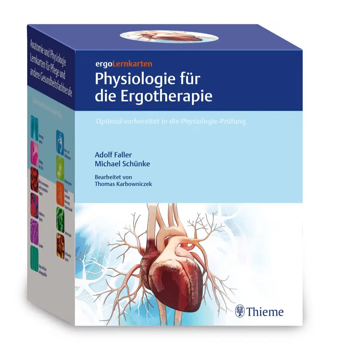 Thieme ergoLernkarten – Physiologie für die Ergotherapie Thieme ergoLernkarten – Physiologie für die Ergotherapie