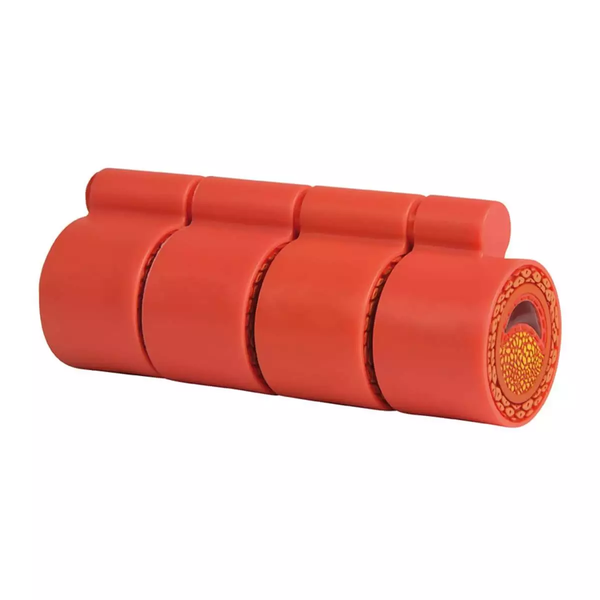 Erler-Zimmer Arteriosklerosemodell Erler-Zimmer Arteriosklerosemodell