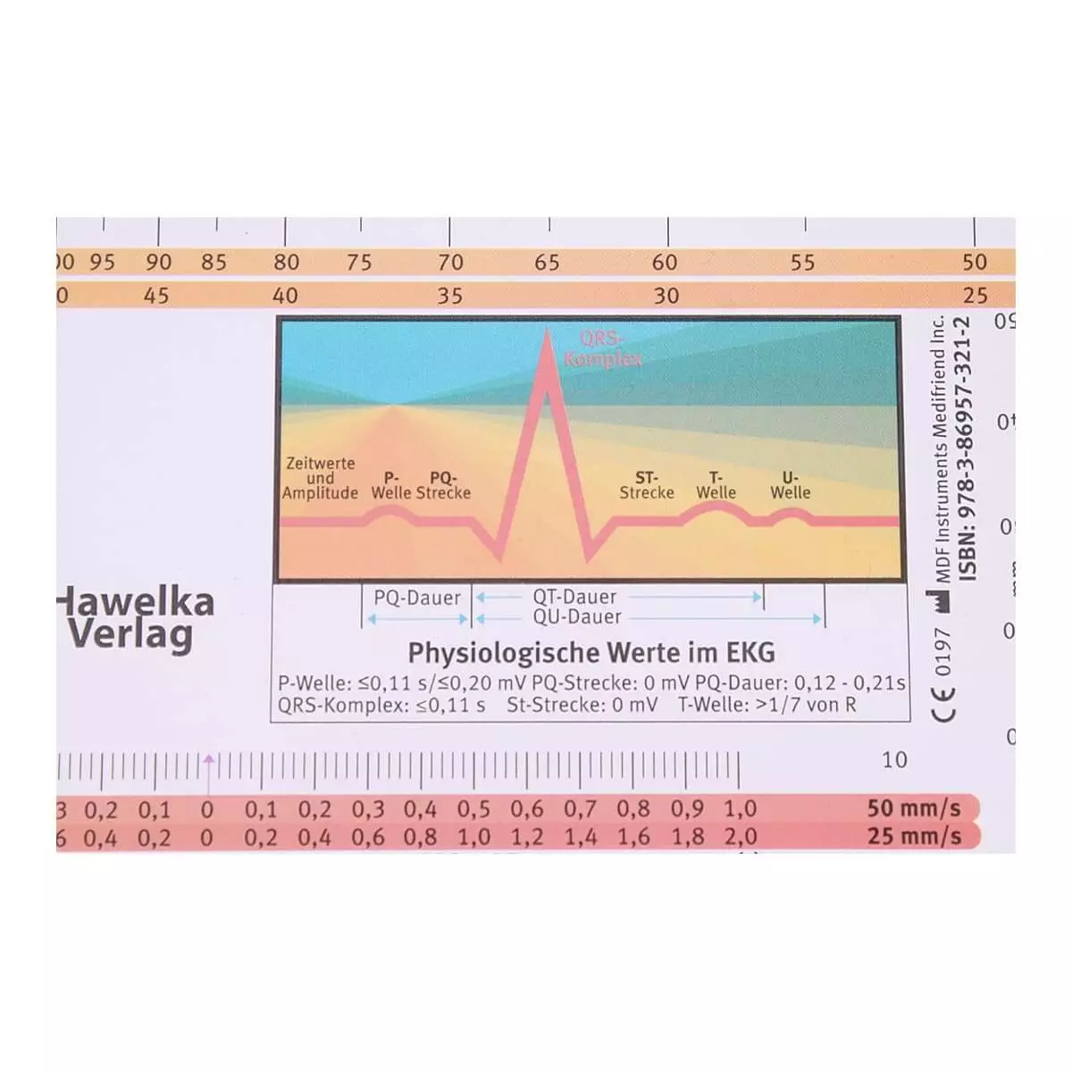 Hawelka EKG-Lineal professional II