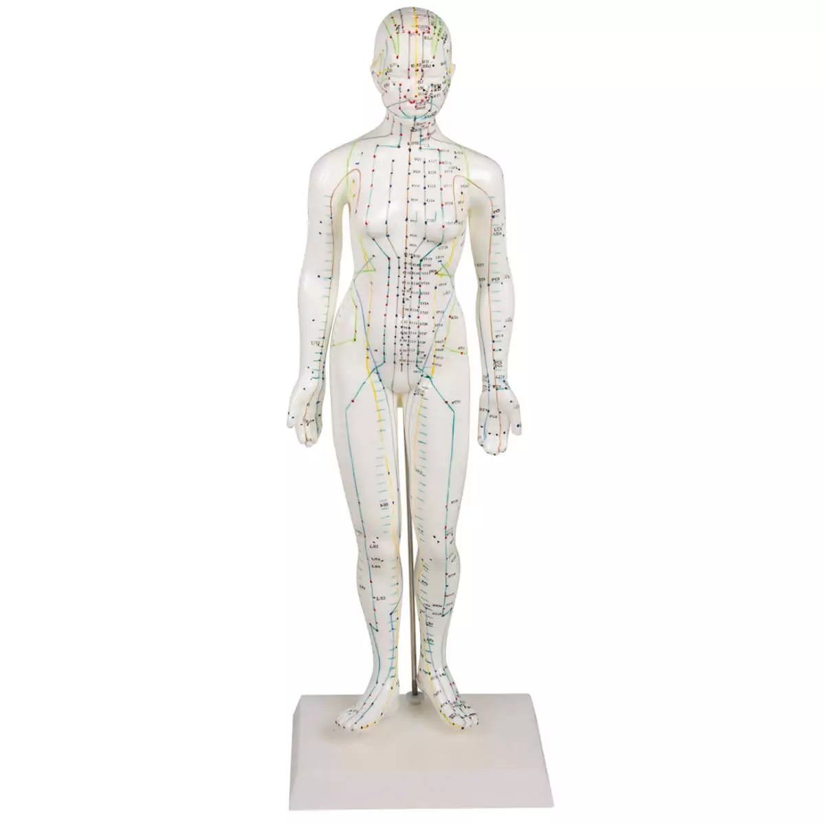 Erler-Zimmer Akupunkturfigur