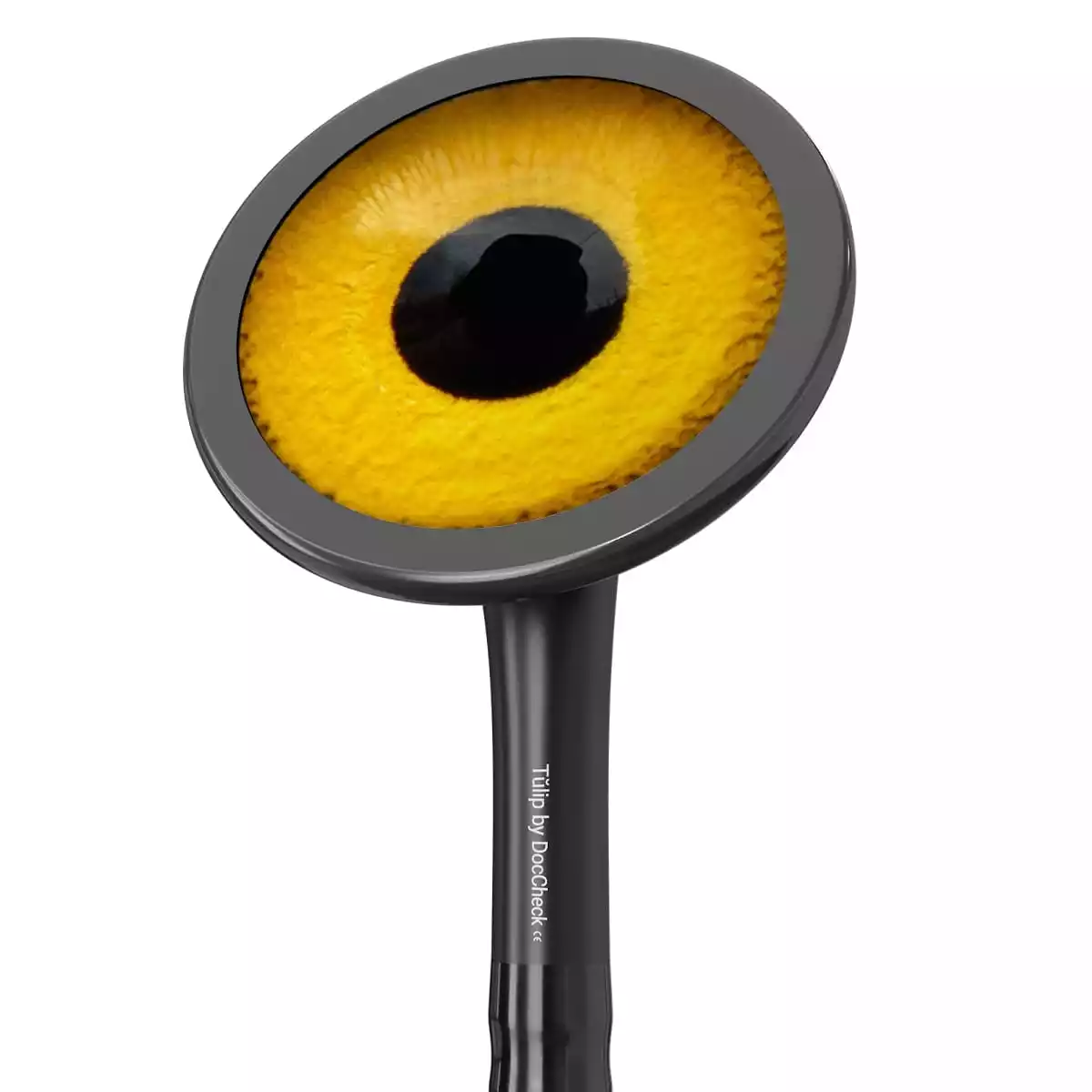 DocCheck Thïngs Bedruckte Fiberglas-Membransets "Drums"