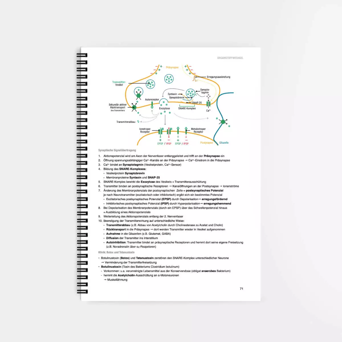 CORETEXT. Biochemie Lernskript CORETEXT. Biochemie Lernskript