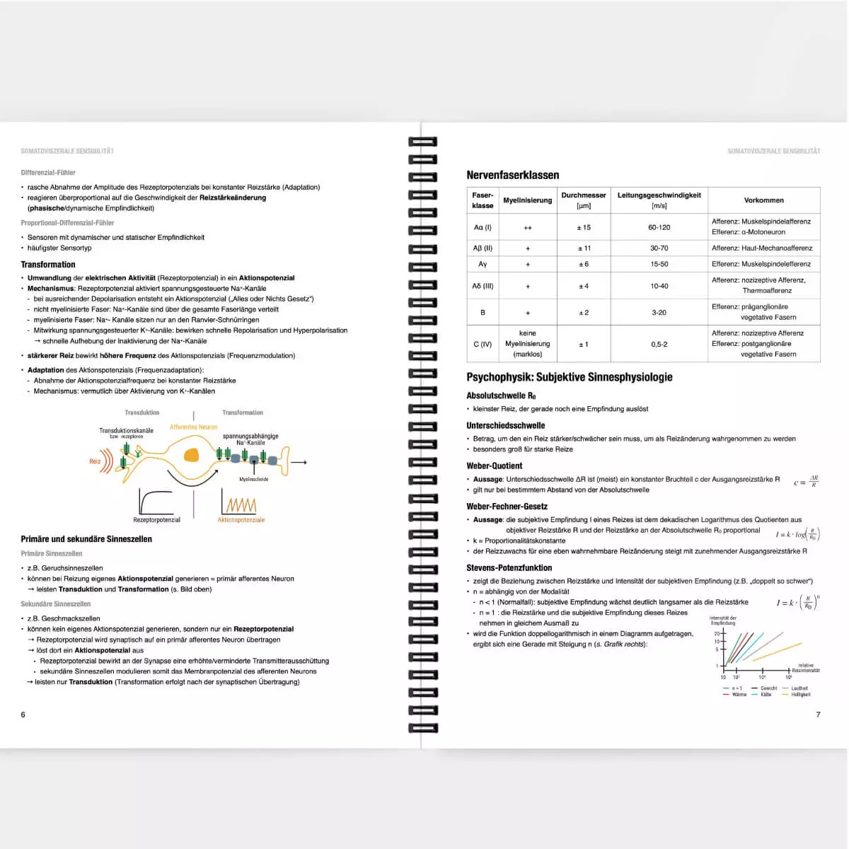 CORETEXT. Physiologie Lernskript