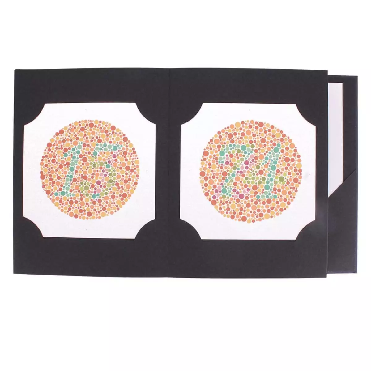 Kanehara Trading Inc. Ishihara Farbtafeln Kanehara Trading Inc. Ishihara Farbtafeln