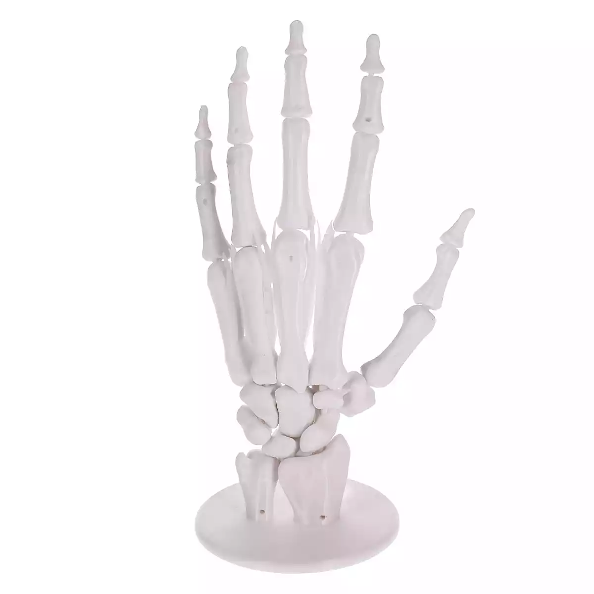 DocCheck Thïngs Anatomisches 3D-Puzzle der Hand "Manus"