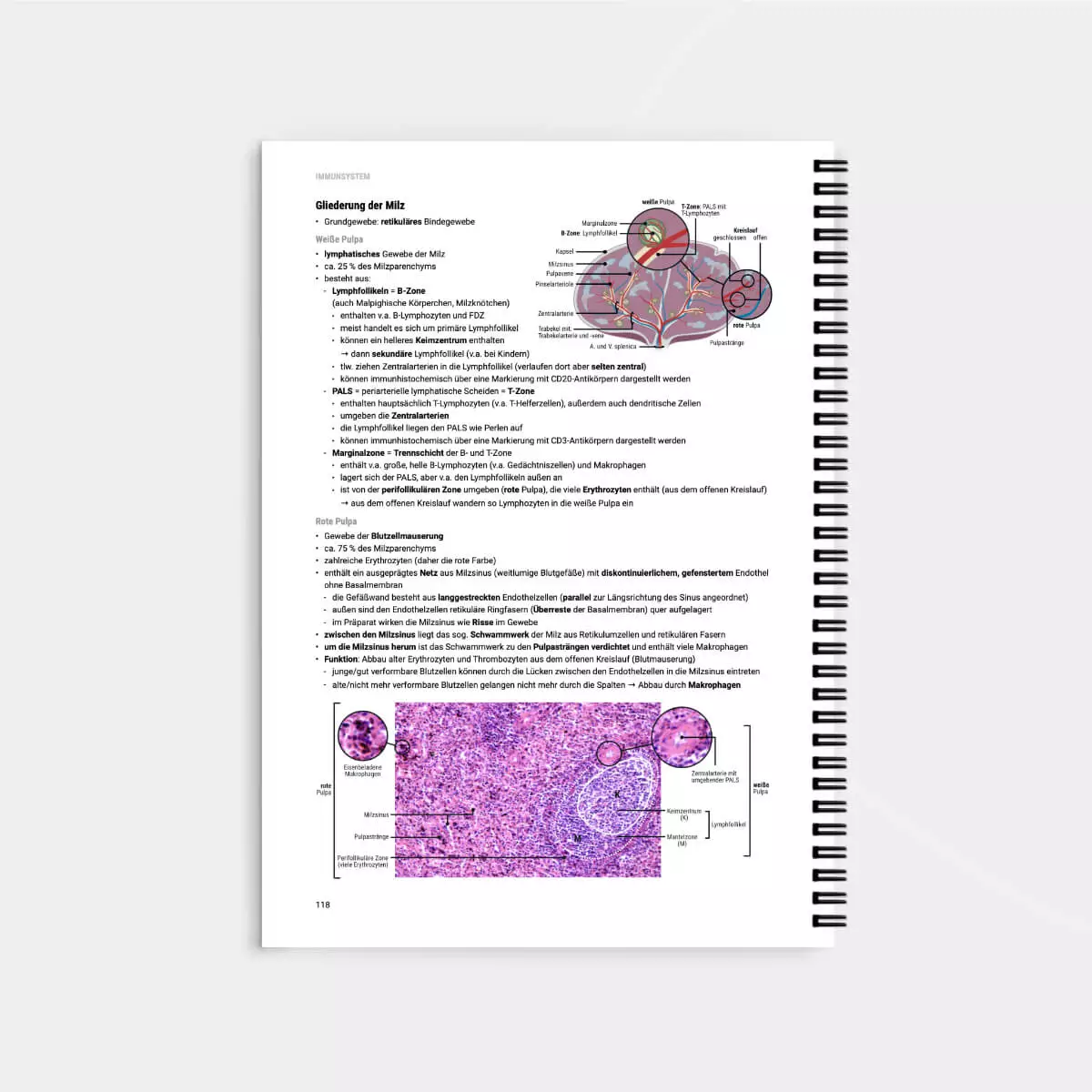CORETEXT. Histologie Lernskript