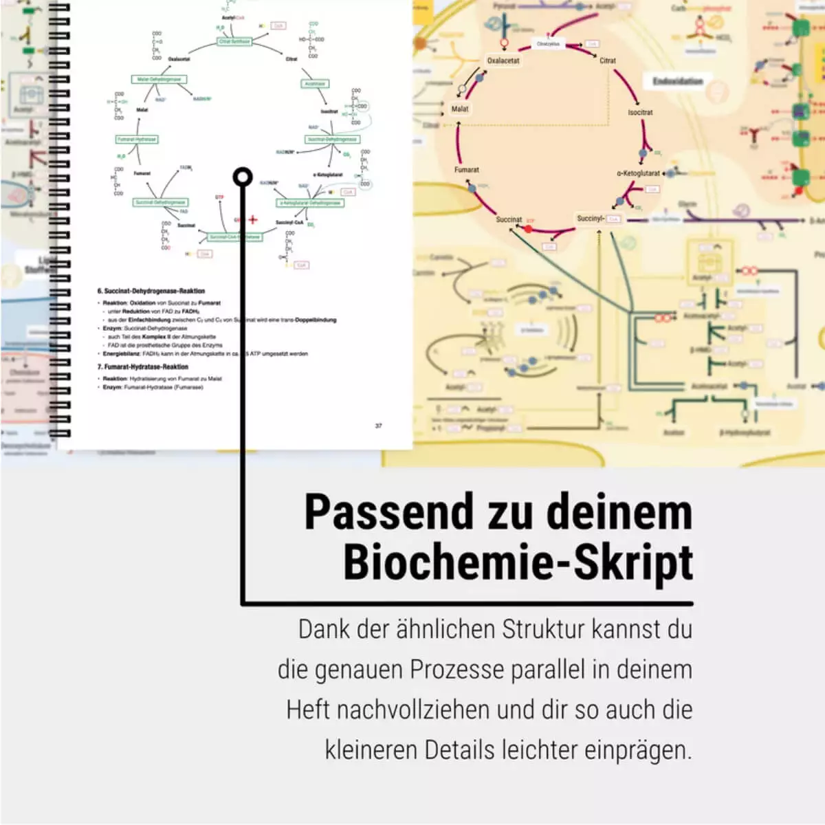 CORETEXT. Das Keine-Panik-Plakat