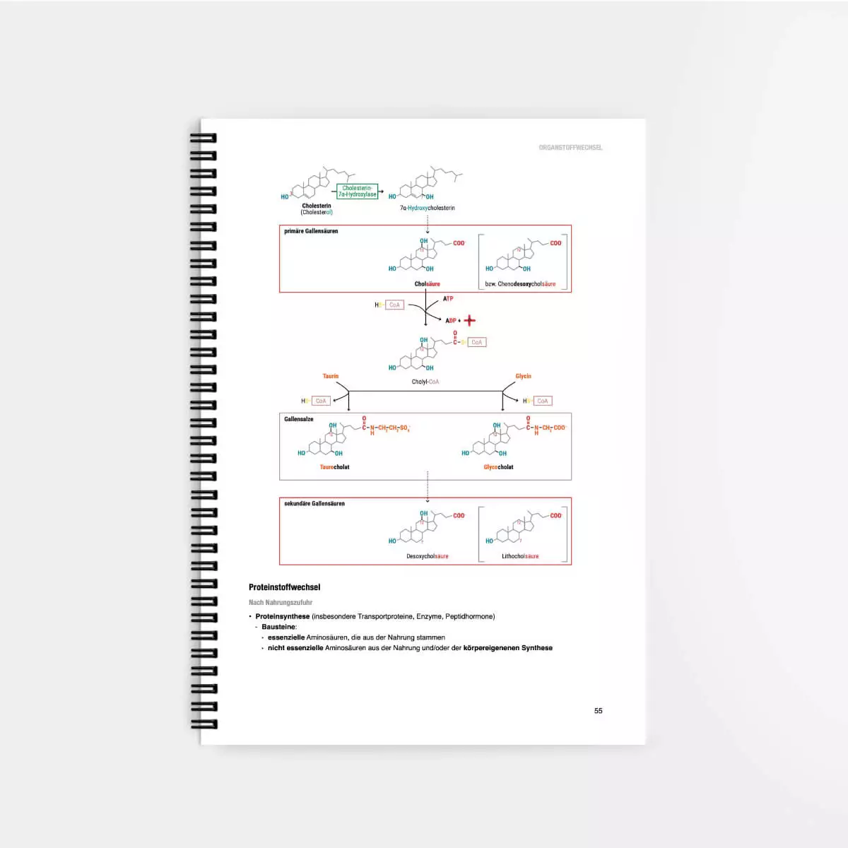 CORETEXT. Biochemie Lernskript CORETEXT. Biochemie Lernskript