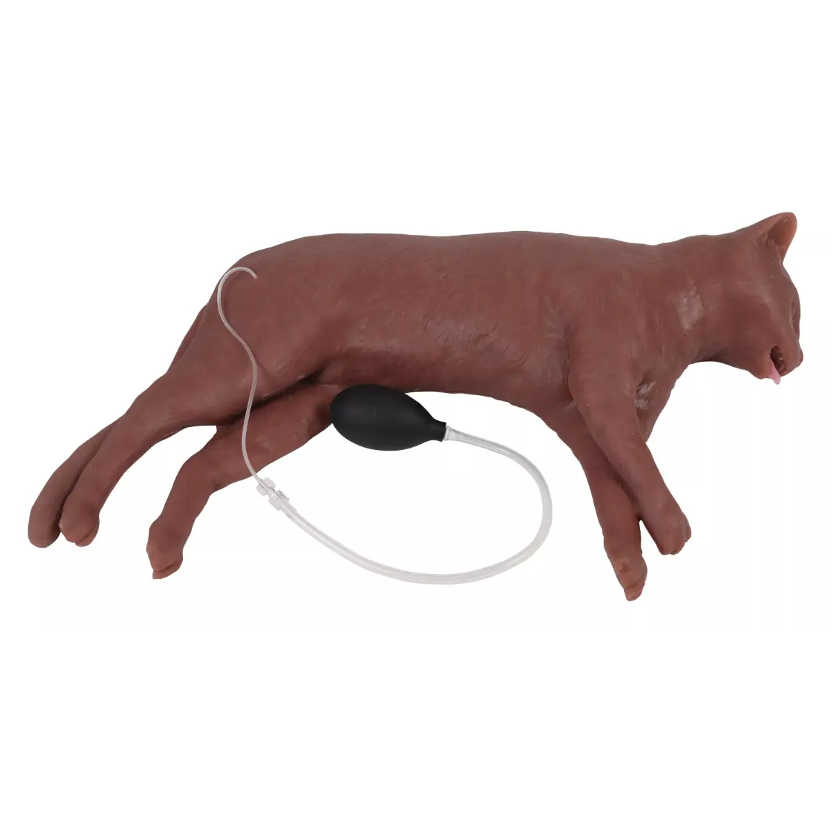 Erler-Zimmer HLW-Übungspuppe Katze "CaPpeR" 