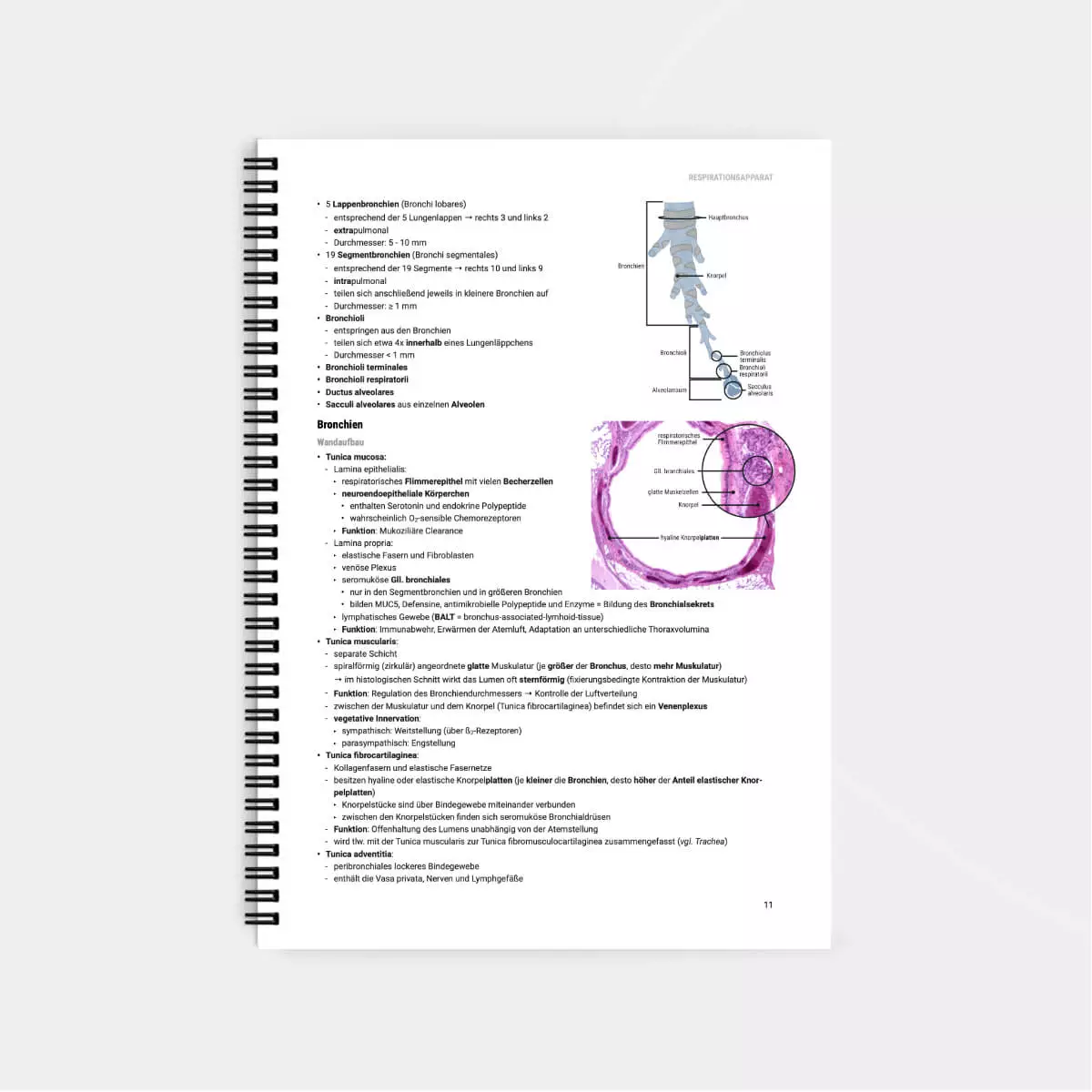 CORETEXT. Histologie Lernskript CORETEXT. Histologie Lernskript
