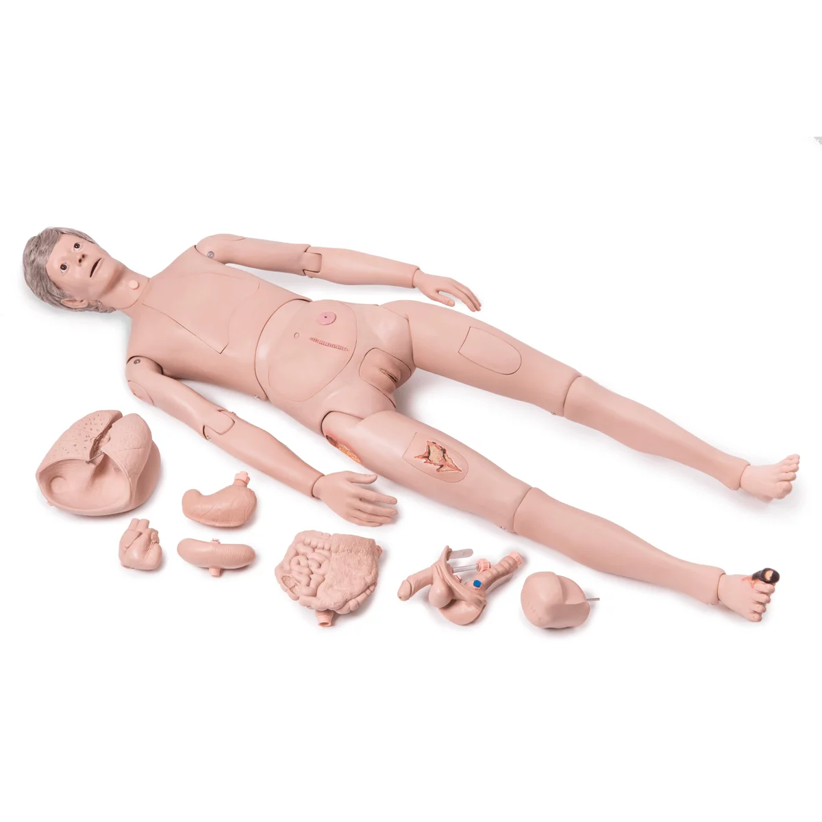 3B Scientific Krankenpflegepuppe PRO