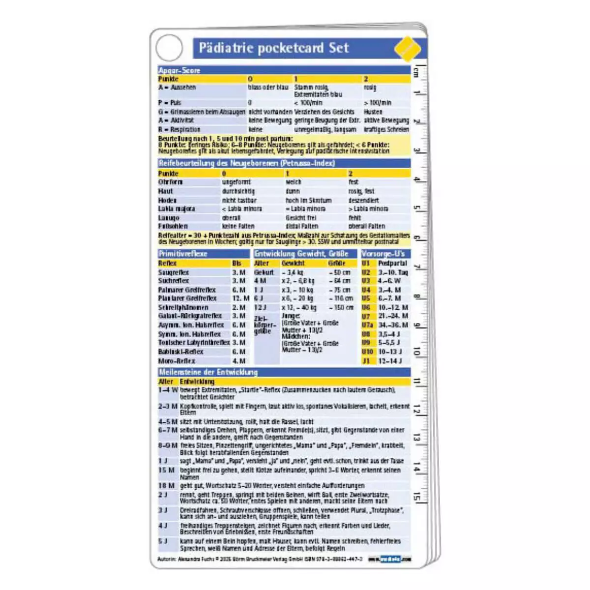 Börm Bruckmeier Pädiatrie pocketcard Set