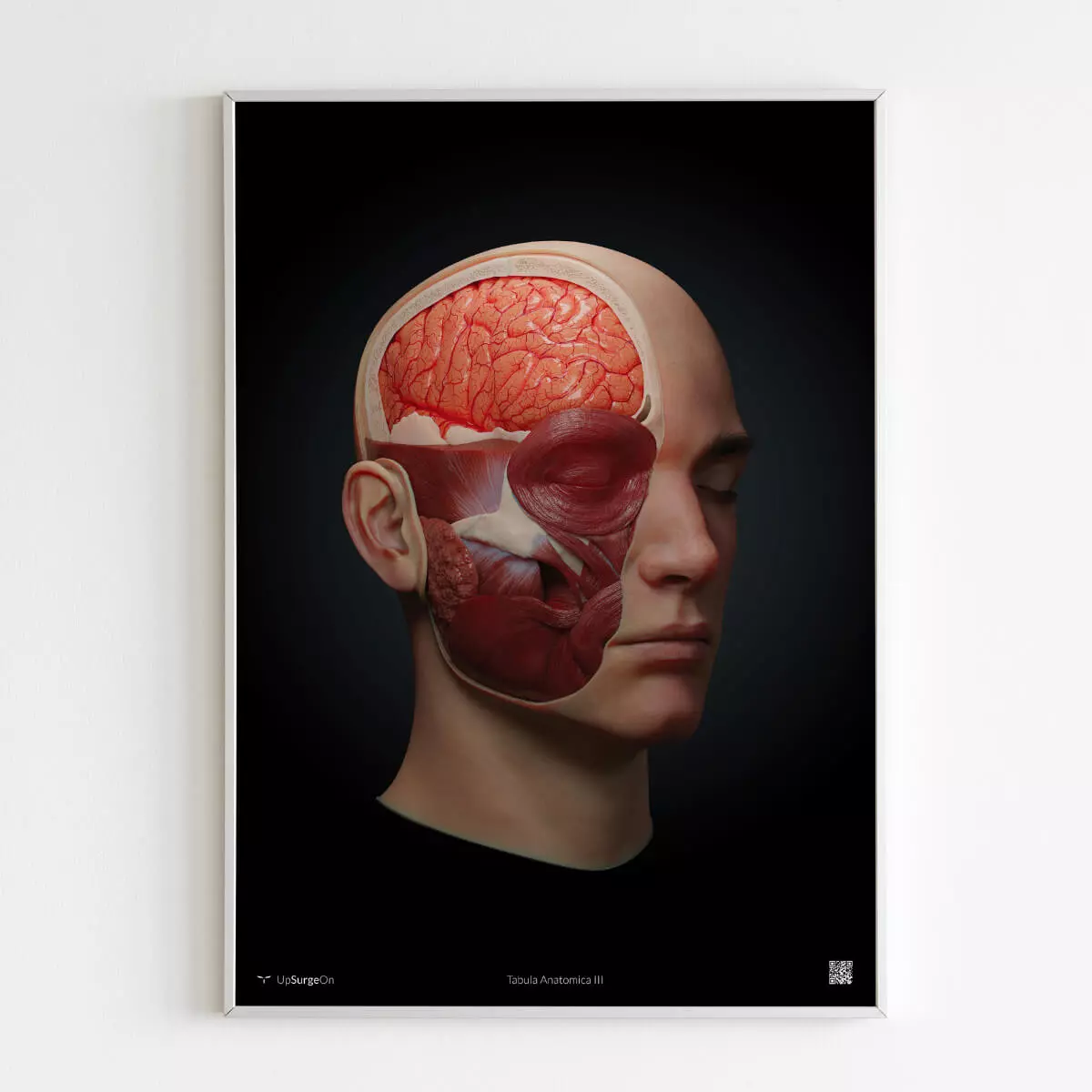 UpSurgeOn AnatomyARt Tabula Anatomica III