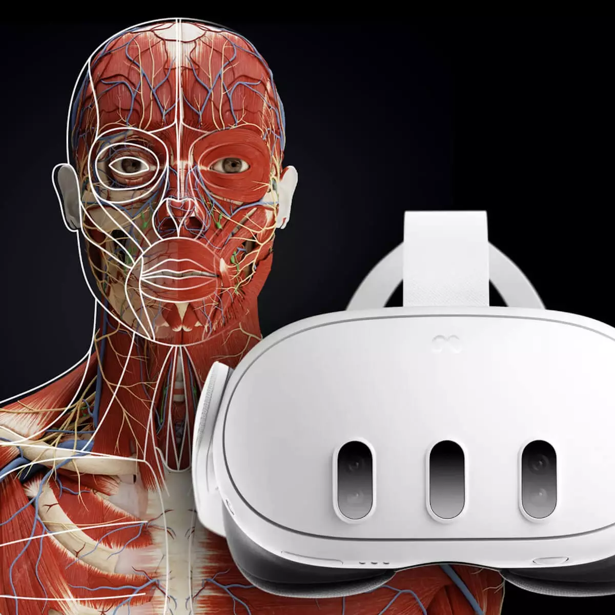 DocCheck Thïngs Mixed-Reality Anatomie-App "Corpus" für Meta Quest 3/3S DocCheck Thïngs Mixed-Reality Anatomie-App "Corpus" für Meta Quest 3/3S