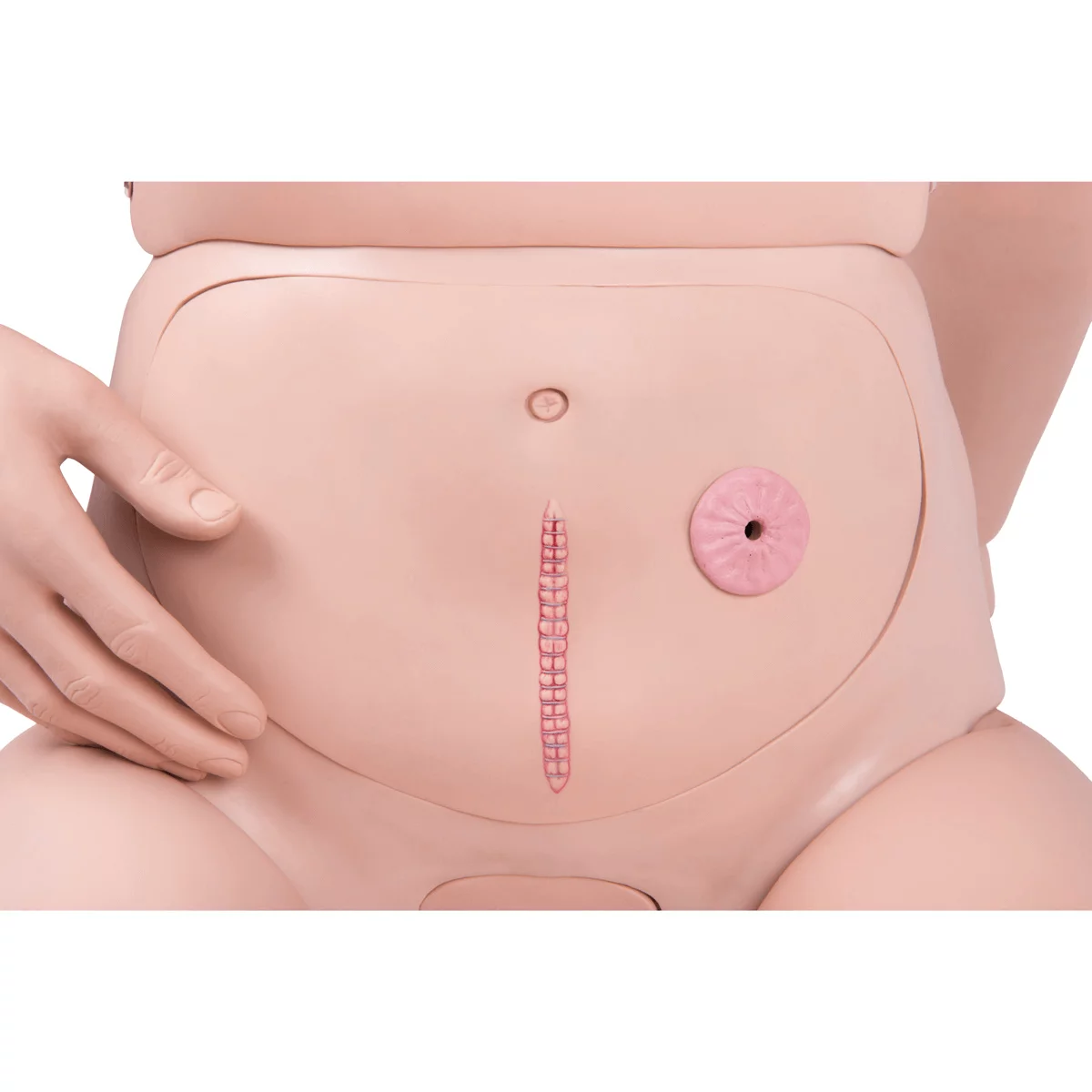 3B Scientific Krankenpflegepuppe Basic