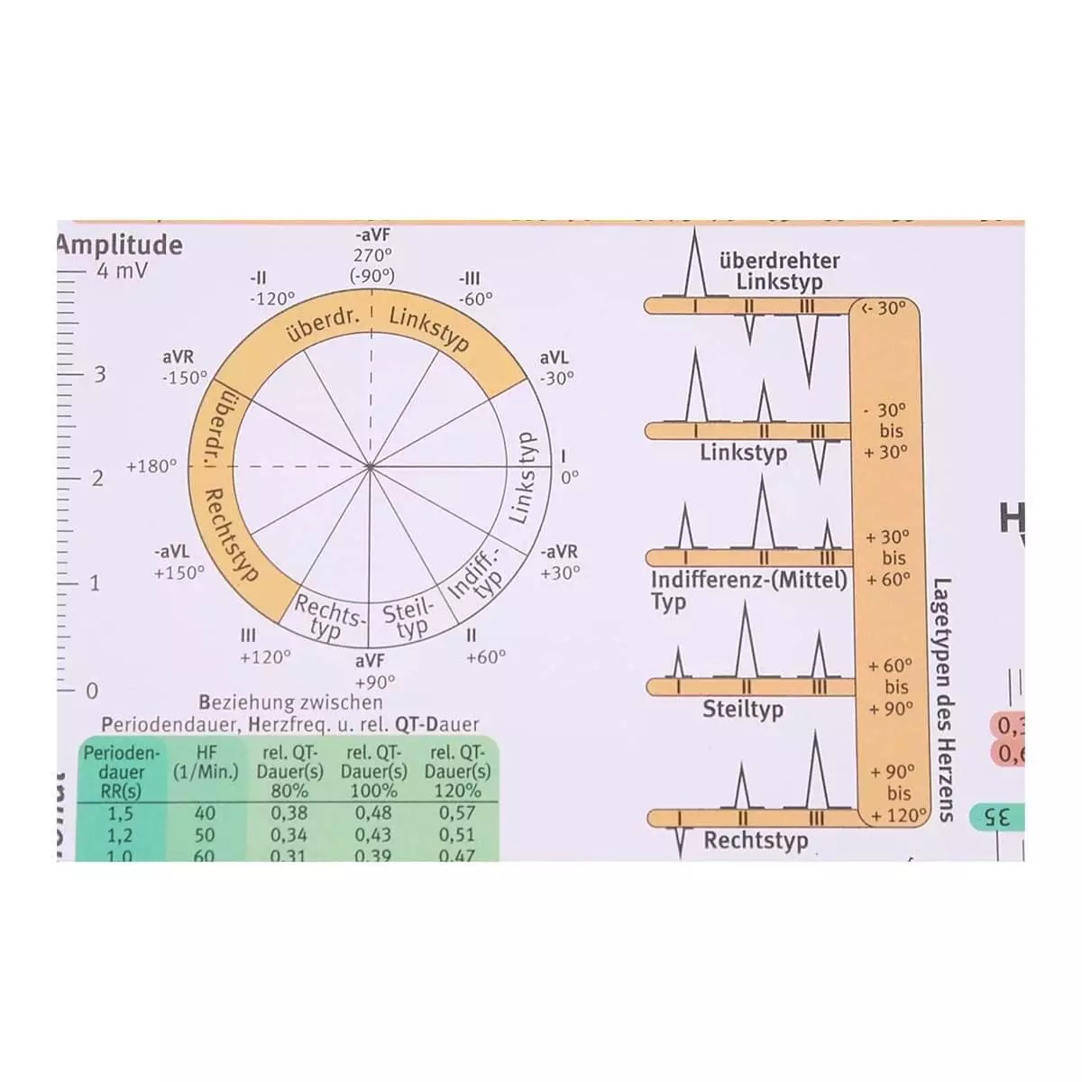 Hawelka EKG-Lineal professional II