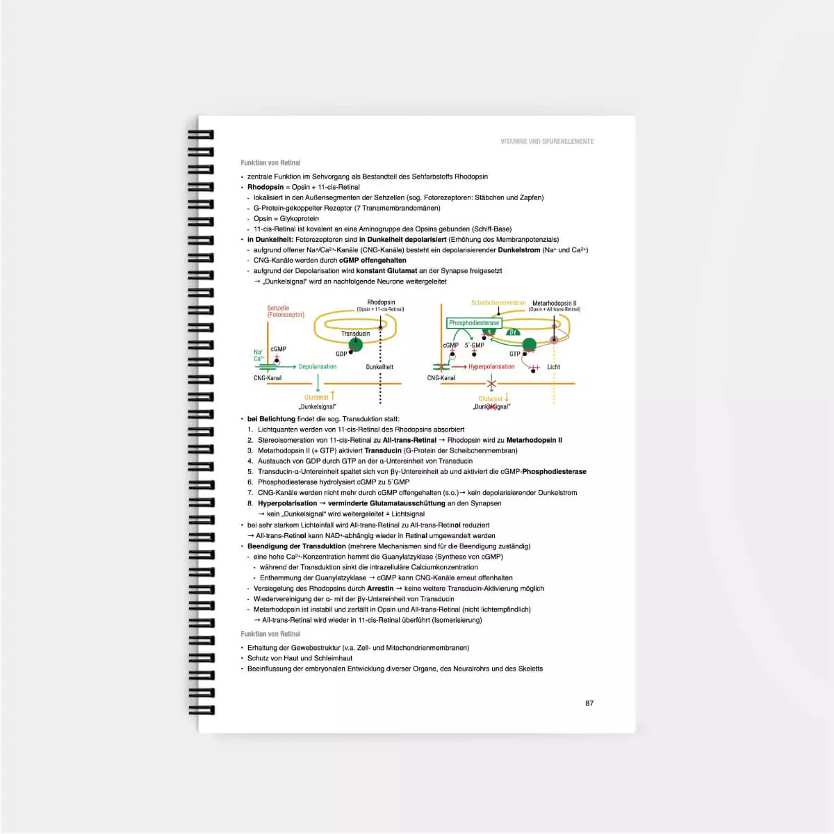 CORETEXT. Biochemie Lernskript