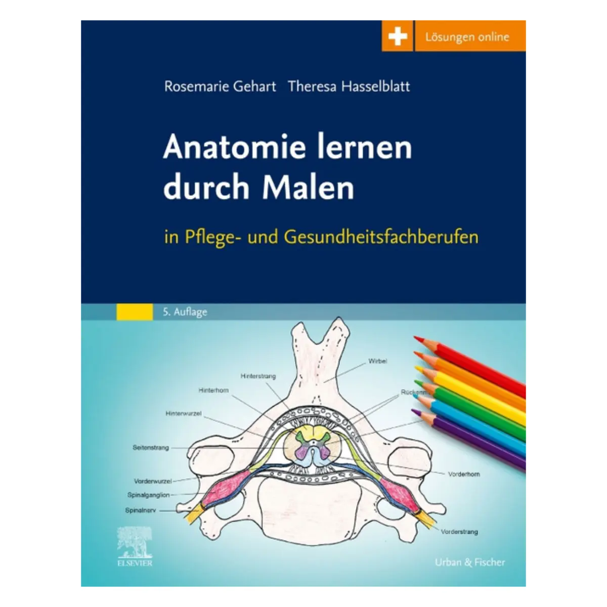 Elsevier Anatomie lernen durch Malen