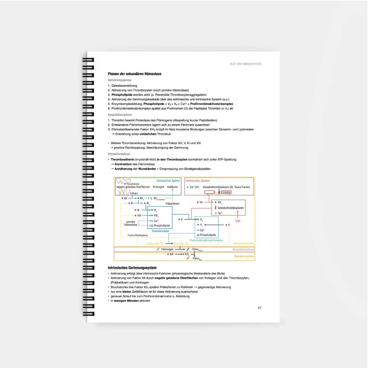 CORETEXT. Physiologie Lernskript