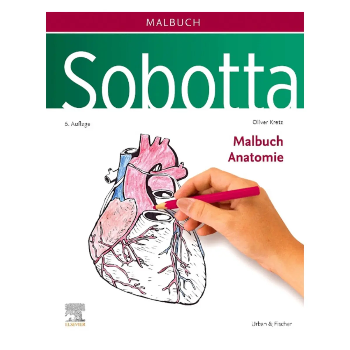 Elsevier Sobotta Malbuch Anatomie