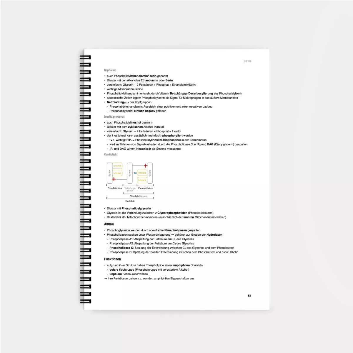 CORETEXT. Biochemie Lernskript
