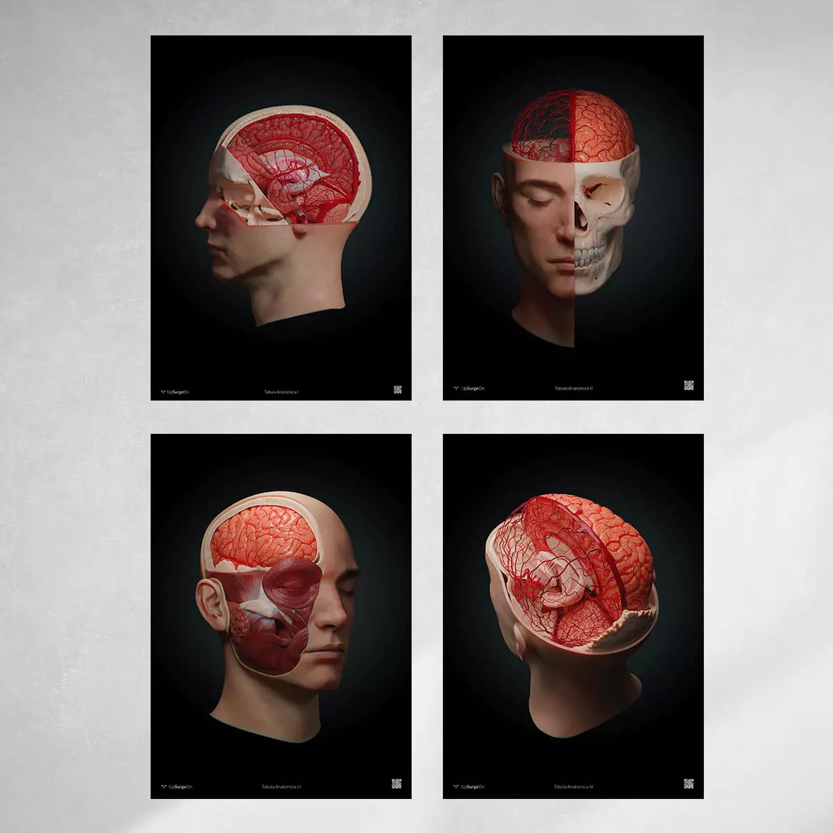 UpSurgeOn AnatomyARt Collection