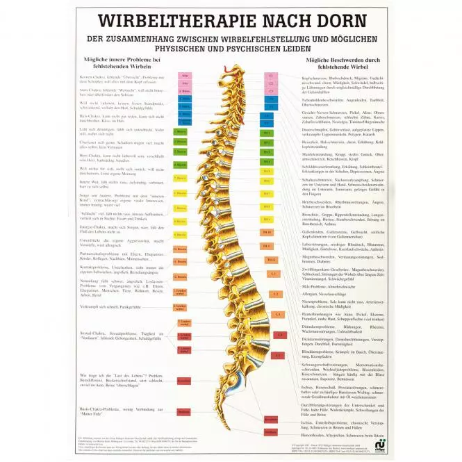 Rüdiger Anatomie Lehrtafel – Wirbeltherapie nach Dorn