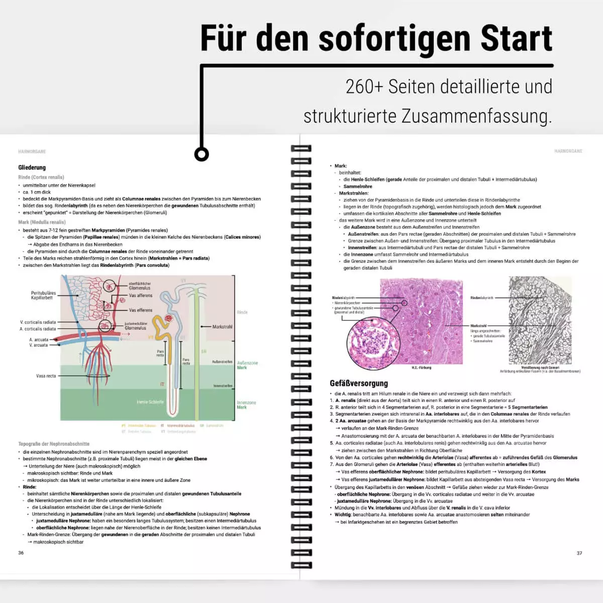 CORETEXT. Histologie Lernskript